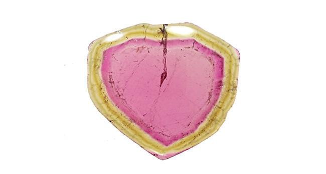 Tourmaline, Slice 22.76ct - Far East Gems & Jewellery