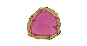 Tourmaline, Slice 47.98ct - Far East Gems & Jewellery